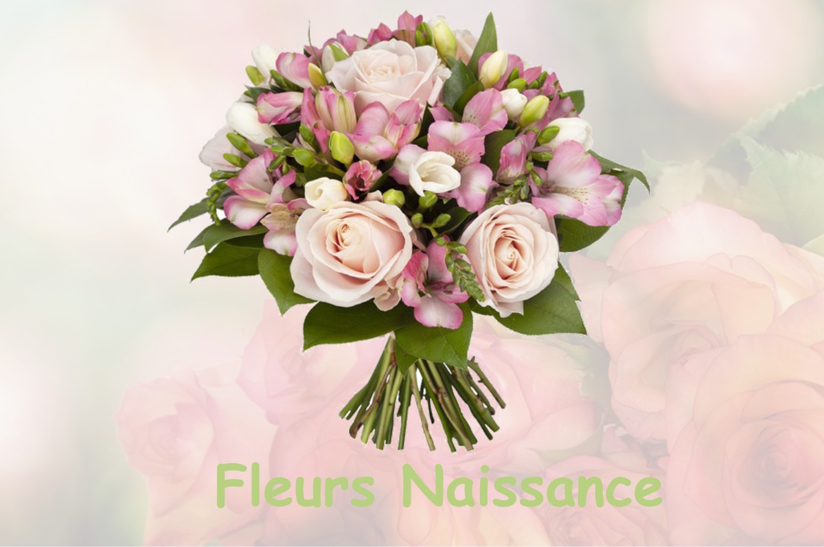 fleurs naissance LAINES-AUX-BOIS