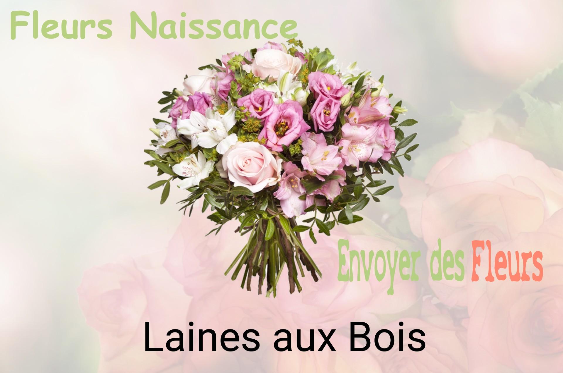 Bouquet de fleurs de naissance livré à Laines-aux-Bois