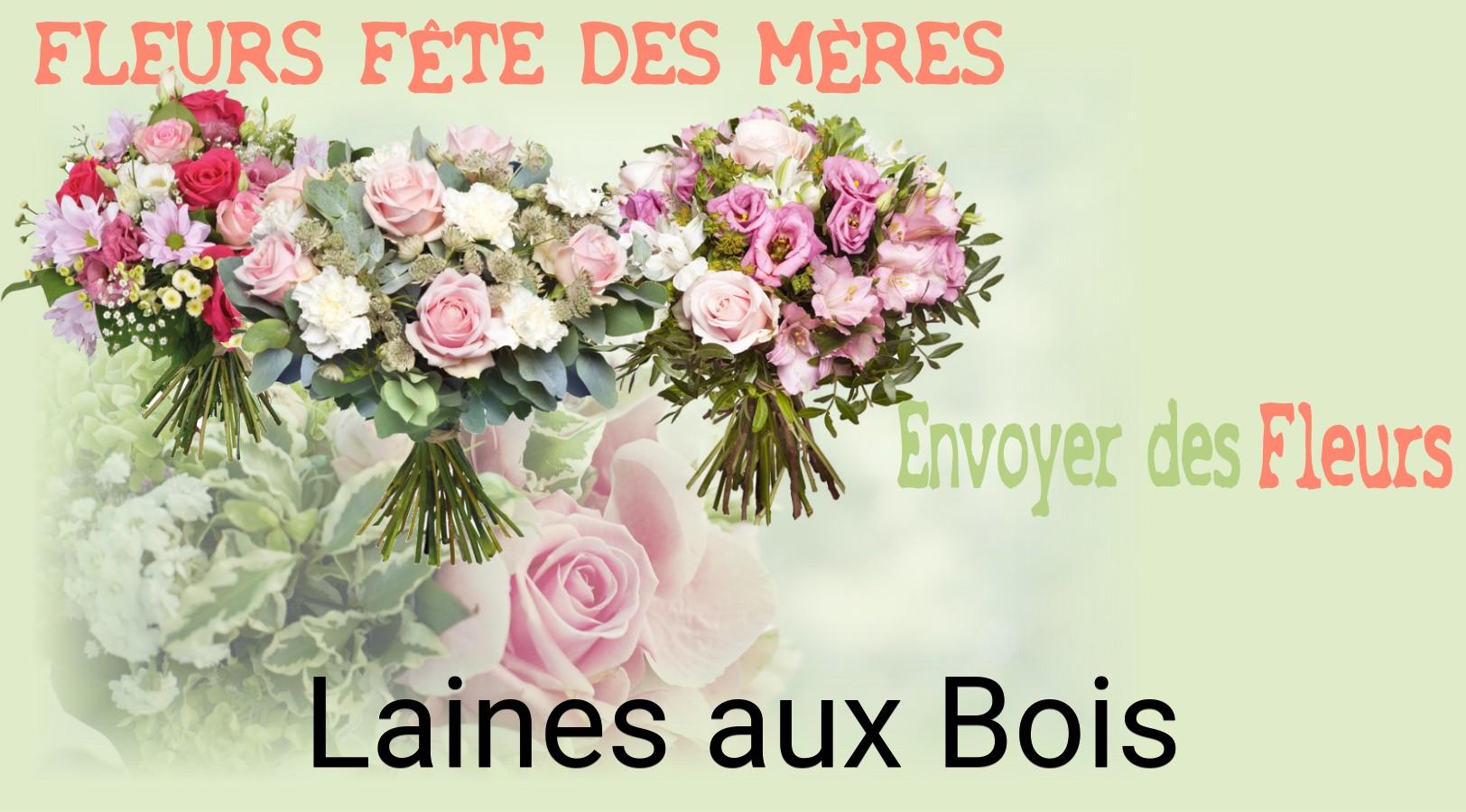 Bouquet de Fête des Mères livré à Laines-aux-Bois
